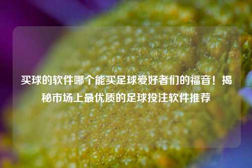 买球的软件哪个能买足球爱好者们的福音！揭秘市场上最优质的足球投注软件推荐