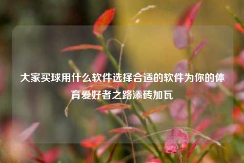 大家买球用什么软件选择合适的软件为你的体育爱好者之路添砖加瓦