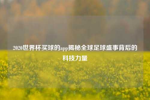 2020世界杯买球的app揭秘全球足球盛事背后的科技力量