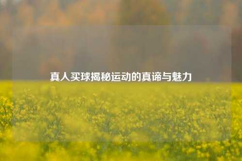 真人买球揭秘运动的真谛与魅力