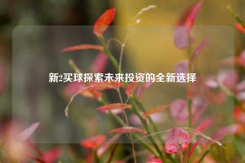 新2买球探索未来投资的全新选择