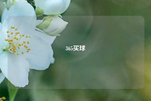 365买球