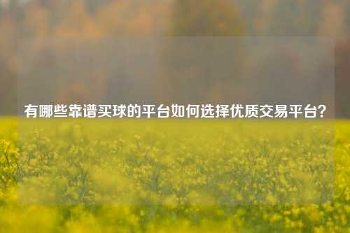 有哪些靠谱买球的平台如何选择优质交易平台？