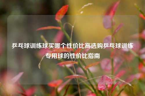 乒乓球训练球买哪个性价比高选购乒乓球训练专用球的性价比指南