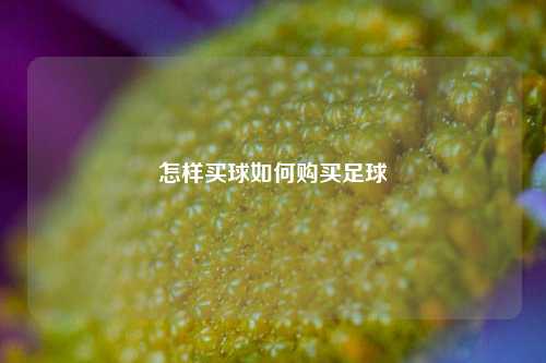怎样买球如何购买足球