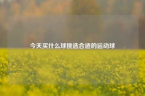 今天买什么球挑选合适的运动球