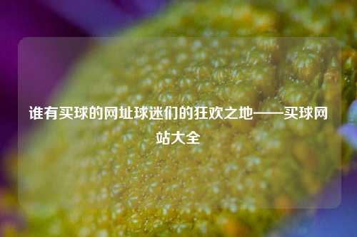 谁有买球的网址球迷们的狂欢之地——买球网站大全