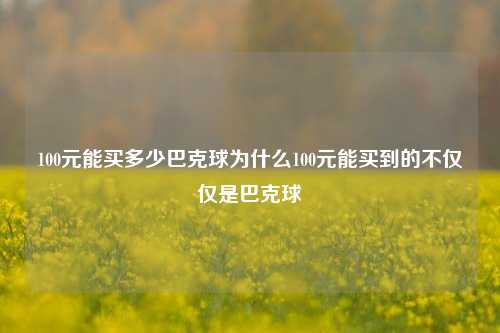 100元能买多少巴克球为什么100元能买到的不仅仅是巴克球