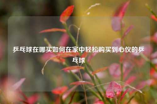 乒乓球在哪买如何在家中轻松购买到心仪的乒乓球