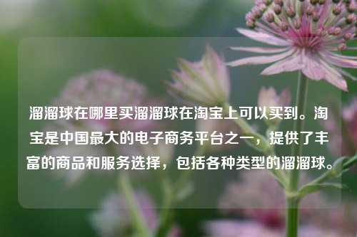 溜溜球在哪里买溜溜球在淘宝上可以买到。淘宝是中国最大的电子商务平台之一，提供了丰富的商品和服务选择，包括各种类型的溜溜球。
