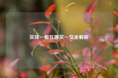 买球一般在哪买一文全解析