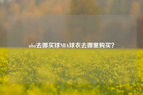 nba去哪买球NBA球衣去哪里购买？