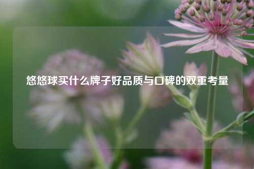悠悠球买什么牌子好品质与口碑的双重考量