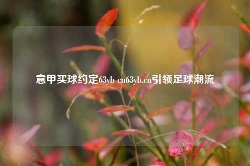 意甲买球约定63yb cn63yb.cn引领足球潮流