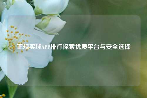正规买球APP排行探索优质平台与安全选择