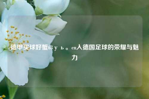 德甲买球好蟹63уь。cn入德国足球的荣耀与魅力