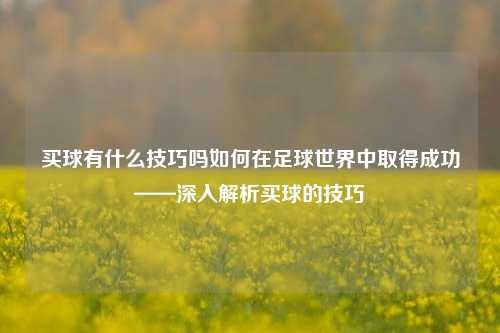 买球有什么技巧吗如何在足球世界中取得成功——深入解析买球的技巧