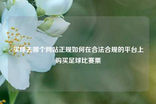买球去哪个网站正规如何在合法合规的平台上购买足球比赛票