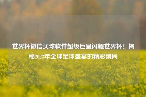 世界杯微信买球软件超级巨星闪耀世界杯！揭秘2023年全球足球盛宴的精彩瞬间