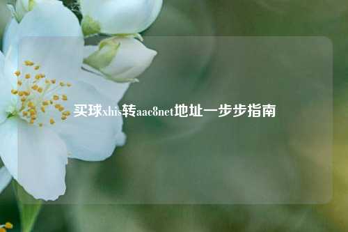 买球xhis转aac8net地址一步步指南