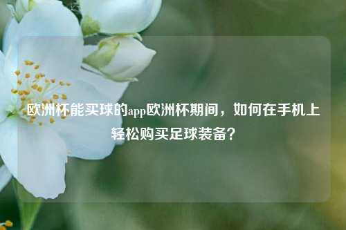 欧洲杯能买球的app欧洲杯期间，如何在手机上轻松购买足球装备？