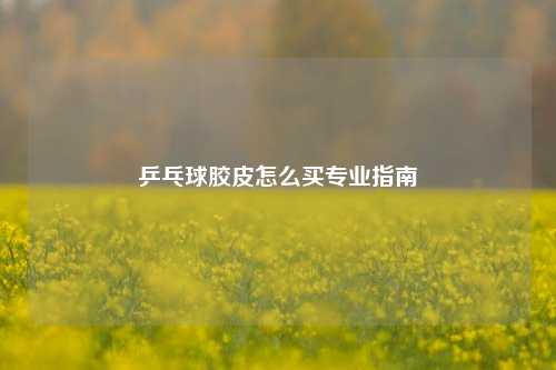 乒乓球胶皮怎么买专业指南