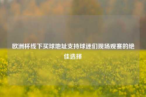 欧洲杯线下买球地址支持球迷们现场观赛的绝佳选择
