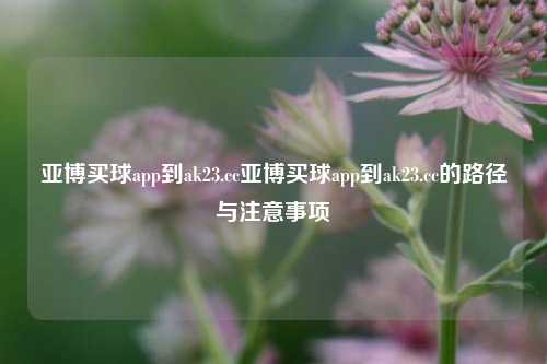 亚博买球app到ak23.cc亚博买球app到ak23.cc的路径与注意事项