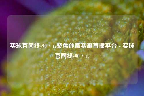 买球官网终y90丶tv聚焦体育赛事直播平台 - 买球官网终y90丶tv