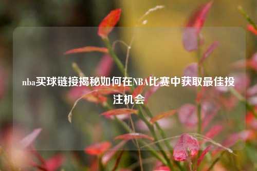 nba买球链接揭秘如何在NBA比赛中获取最佳投注机会