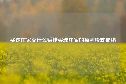 买球庄家靠什么赚钱买球庄家的盈利模式揭秘