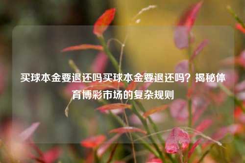 买球本金要退还吗买球本金要退还吗？揭秘体育博彩市场的复杂规则