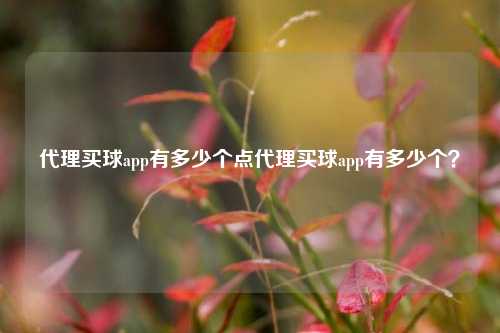 代理买球app有多少个点代理买球app有多少个？