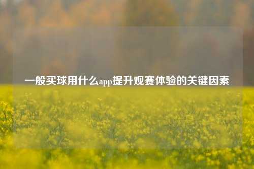一般买球用什么app提升观赛体验的关键因素