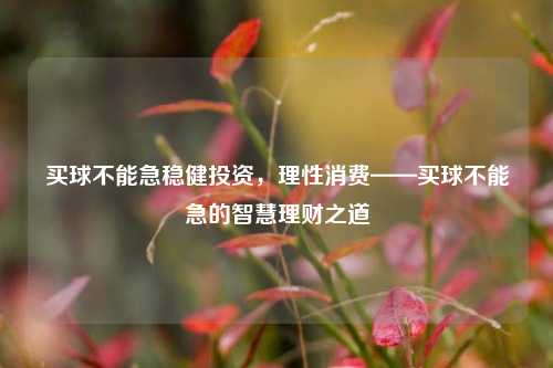 买球不能急稳健投资，理性消费——买球不能急的智慧理财之道