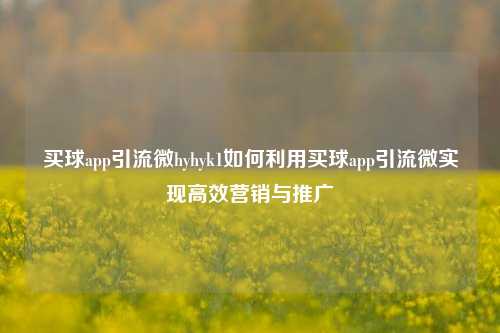 买球app引流微hyhyk1如何利用买球app引流微实现高效营销与推广