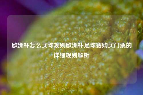 欧洲杯怎么买球规则欧洲杯足球赛购买门票的详细规则解析