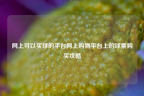 网上可以买球的平台网上购物平台上的球票购买攻略