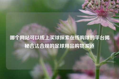 哪个网站可以线上买球探索在线购球的平台揭秘合法合规的足球用品购物渠道