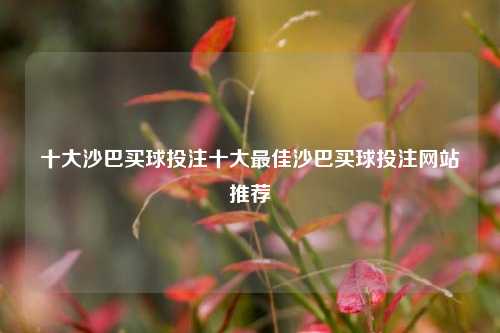 十大沙巴买球投注十大最佳沙巴买球投注网站推荐