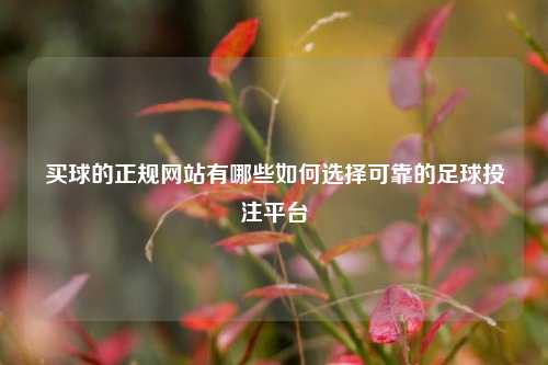 买球的正规网站有哪些如何选择可靠的足球投注平台