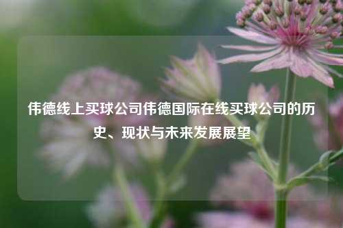 伟德线上买球公司伟德国际在线买球公司的历史、现状与未来发展展望