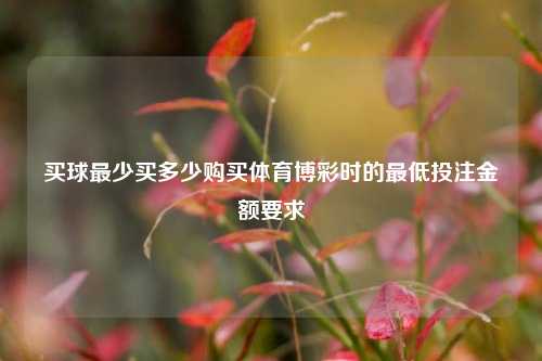 买球最少买多少购买体育博彩时的最低投注金额要求