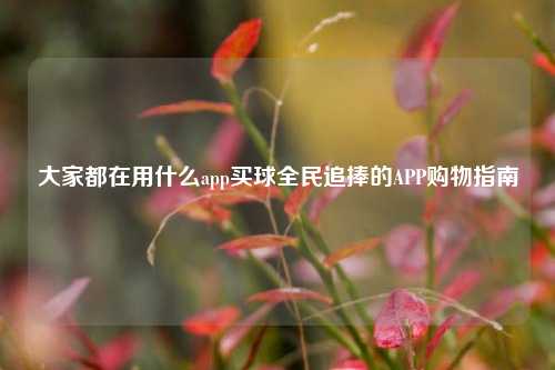 大家都在用什么app买球全民追捧的APP购物指南