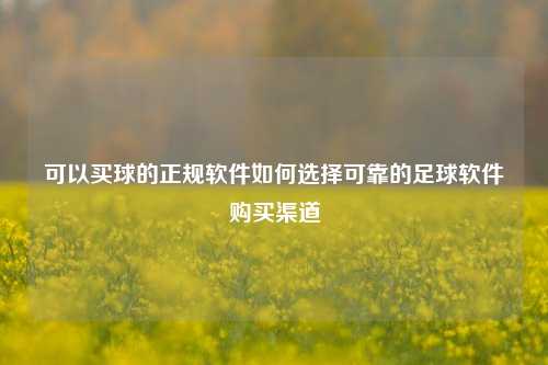 可以买球的正规软件如何选择可靠的足球软件购买渠道