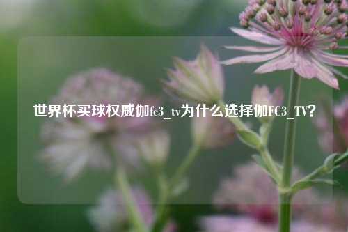 世界杯买球权威伽fc3_tv为什么选择伽FC3_TV？