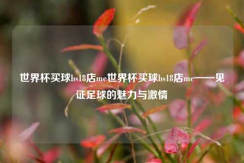 世界杯买球bs18店me世界杯买球bs18店me——见证足球的魅力与激情