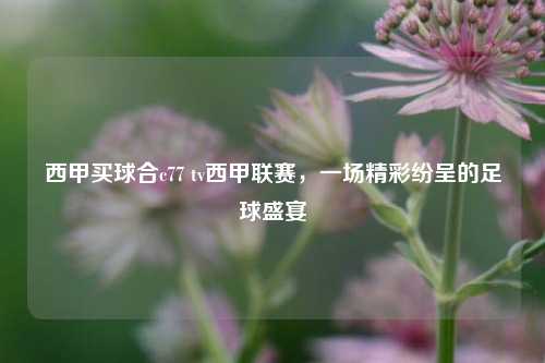 西甲买球合c77 tv西甲联赛，一场精彩纷呈的足球盛宴