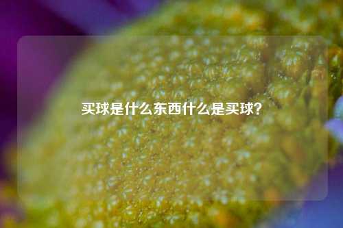 买球是什么东西什么是买球？