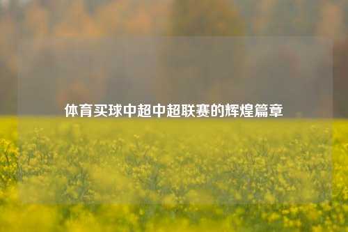 体育买球中超中超联赛的辉煌篇章